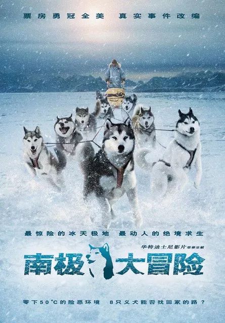 公路式旅行搭档
